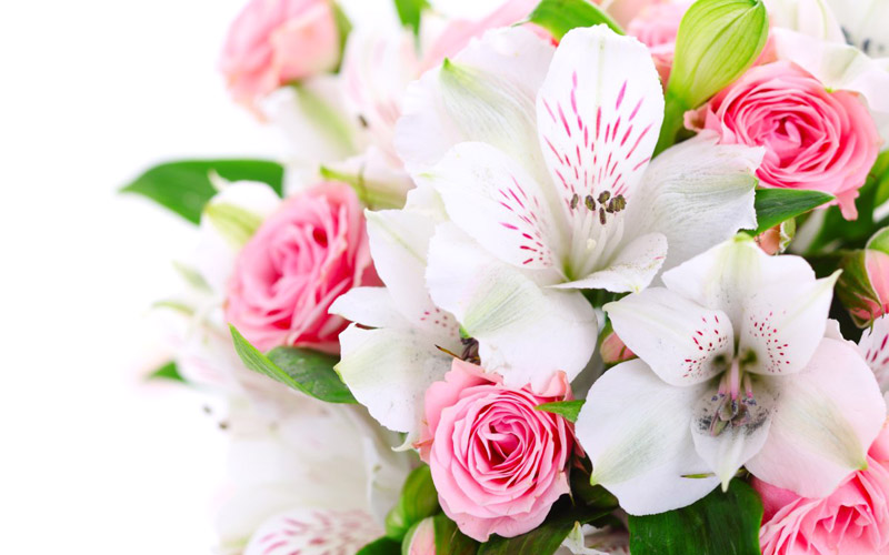 8march_bg.jpg
