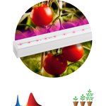Светильник для растений, фитолампа светодиодная линейная ЭРА FITO-14W-Т5-N красно-синего спектра 14 Вт Т5 Б0045232
