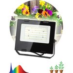 Фитопрожектор для растений светодиодный ЭРА FITO-50W-Ra90-LED для цветения и ...