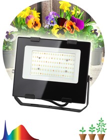 Фото 1/7 Фитопрожектор для растений светодиодный ЭРА FITO-50W-Ra90-LED для цветения и плодоношения полного спектра 50 Вт Б0047875