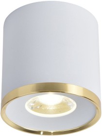 Favourite Потолочный светильник Prakash D88*H91 LED*10W, 850LM, 4000K, IP20 3085-2C