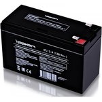 Аккумуляторная батарея Ippon IPL12-9