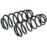 10200, Пружина подвески