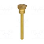 3907317 Thermometer Accessory Screw-in Thermowell for Use with Models 52 and 73 ...