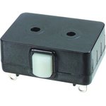 22-304, Basic / Snap Action Switches SNAP ACTION SWITCH MINI 10A DBL POLE