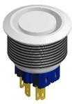 PV9F2Y0SS-305, Pushbutton Switches Anti-vandal, DPST-NO/NC, Off-(On), On-(Off), Panel Mount, Front, Silver, LED, White, IP66