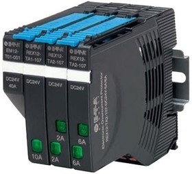 REX12D-TE2-100- DC24V-1A-10A, Circuit Breakers 508, 1P,DM, 24VDC, 2CH 1A-10A Variou With Comm