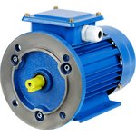 SQ3001-0055, Electric Motor AIR 90L2 3 kW 3000 RPM 2081 TDM Electric