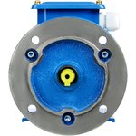 SQ3001-0055, Electric Motor AIR 90L2 3 kW 3000 RPM 2081 TDM Electric