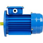 SQ3001-0055, Electric Motor AIR 90L2 3 kW 3000 RPM 2081 TDM Electric