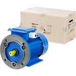 SQ3001-0055, Electric Motor AIR 90L2 3 kW 3000 RPM 2081 TDM Electric