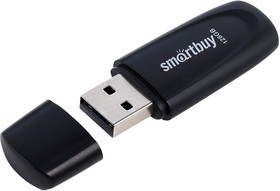 Фото 1/3 USB 2.0 накопитель Smartbuy 128GB Scout Black (SB128GB2SCK)