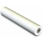 450L97059, Бумага XEROX Inkjet Monochrome Paper 80г, (0.610x100м.) в ...