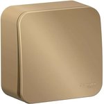 (Schneider Electric) BLANCA O/O 1-key SWITCH cx.6, 10A, 250B, TITANIUM BLNVA106014