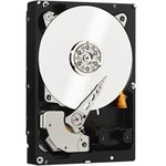 1TB WD Caviar Black (WD1003FZEX) {Serial ATA III, 7200 rpm, 64Mb buffer}
