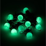 Светодиодная гирлянда Белт Лайт, серия Holiday, 10 ламп, 7.7 м, IP44, зеленый ...