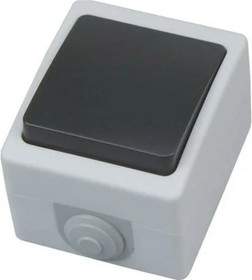 Одинарный накладной выключатель на два контакта 112-100-0007 10A/250V IP54 ATOM (1-GANG TWO WAY SWIT HRZ01001529