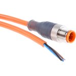 11804 RST 4-07/2 M, Male 4 way M12 to Unterminated Sensor Actuator Cable, 2m