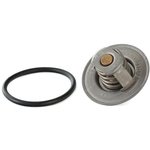 3141.87D, Термостат