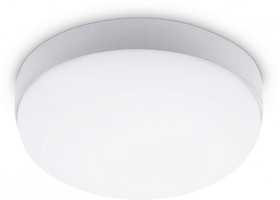 Ambrella Уличный светодиодный светильник ST8631 WH белый IP65 LED 4200K 20W D170*60