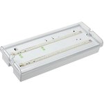 Lamp LED DPA 5042-1 IP65 1h emergency accum. universal conn. IEK LDPA0-5042-1-65-K01
