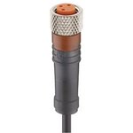 RKMV 3-224/2 M, Cordset, M8 Socket - Bare End, 3 Conductors, 2m ...