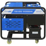 Дизель генератор TSS SDG 12000EHA