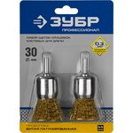 35225-30-H2_z02, ЗУБР 30 мм, витая стальная латунированная проволока 0.3 мм ...
