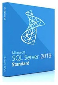 Фото 1/7 Программное обеспечение RET SQL SVR 2019 STD ENG DVD 10CLT 228-11548 MS