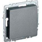 BRITE Plug with caliper MZ10-BrS steel IEK