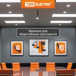 SQ0339-0001, Electronic control unit EB-T8-118-EA2 TDM Electric