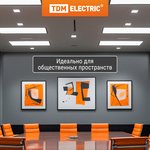 SQ0339-0002, Electronic control unit EB-T8-218-EA2 TDM Electric