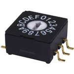 RDS-16S-1045-SMT, Coded Rotary Switches Rotary DIP switch, 10 x 10 x 4.5 mm ...