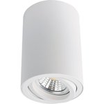 Потолочный светильник Arte Lamp A1560PL-1WH