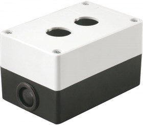 Photo 1/8 BKP10-2-K01, KP-102 case with 2 buttons white