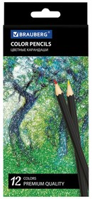 Фото 1/7 Карандаши цветные BRAUBERG "Artist line", 12 цветов, черный корпус, заточенные, высшее качество, 180539