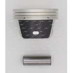 PN-54141, поршень FORD 1.6 16V (100л.с.) HWDA/FYJA... 79.50mm