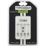 ЭРА Зарядное устройство ТРОФИ TR-120 (6/24/576)
