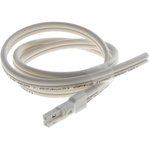 2181148-1, Lighting Cables C/A NECTOR HV-2 PLUG-PIGTAIL 2 FT