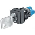 51-295.025D2, Key-Operated Switch Poles1