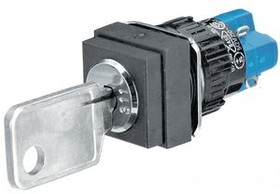 51-295.025D2, Key-Operated Switch Poles1