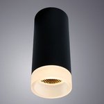 Arte Lamp OGMA Светильник потолочный A5556PL-1BK
