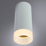 Arte Lamp OGMA Светильник потолочный A5556PL-1WH