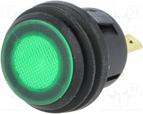 R13527D2B02BG, Переключатель кнопочный 2 SPST-NO зеленый 50мОм