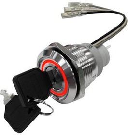 RND 210-00784, Anti-Vandal Keylock Switch with Red / Green LED 1CO 24 V 2-Pos 90° Momentary Function
