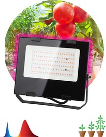 Фото 1/7 Фитопрожектор для растений светодиодный ЭРА FITO-50W-RB-LED для цветения и плодоношения красно-синего спектра 50 Вт Б0046368