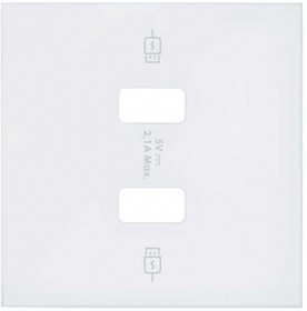Simon 100 Белый матовый Накладка для зарядного устройства 2хUSB