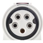 1557, IP44 Red Wall Mount 5P 20 ° Socket, Rated At 32A, 415 V