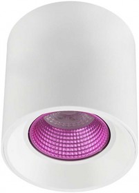 Denkirs DK3090-WH+PI Светильник накладной IP 20, 10 Вт, GU5.3, LED, белый/розовый, пластик