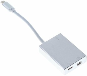 Фото 1/6 Переходник Buro USB Type-C (m) miniDisplayPort (f) USB Type-C (f) USB 3.0 A(f) 0.1м серебристый